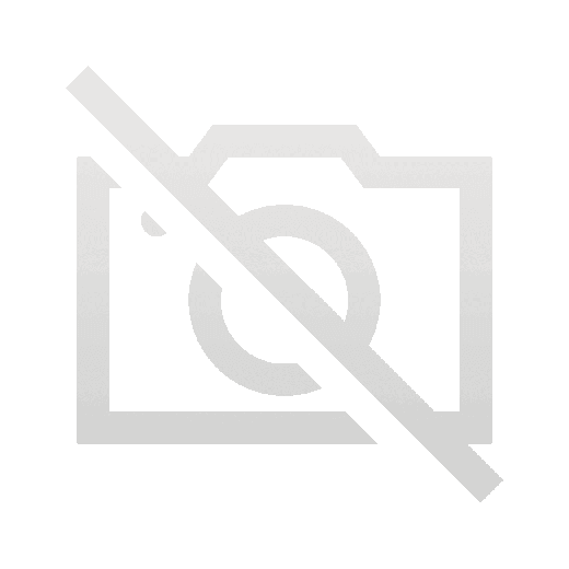 Череп с вороном (15*10*21 см.)